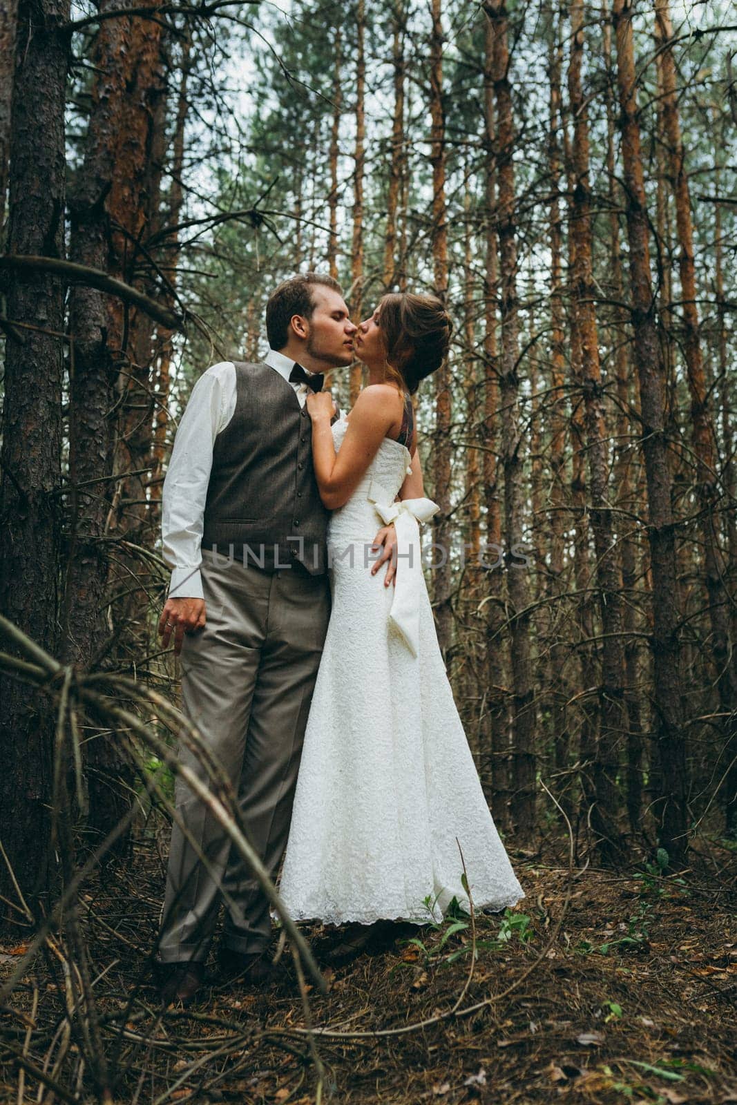 bride and groom in the forest of firs.