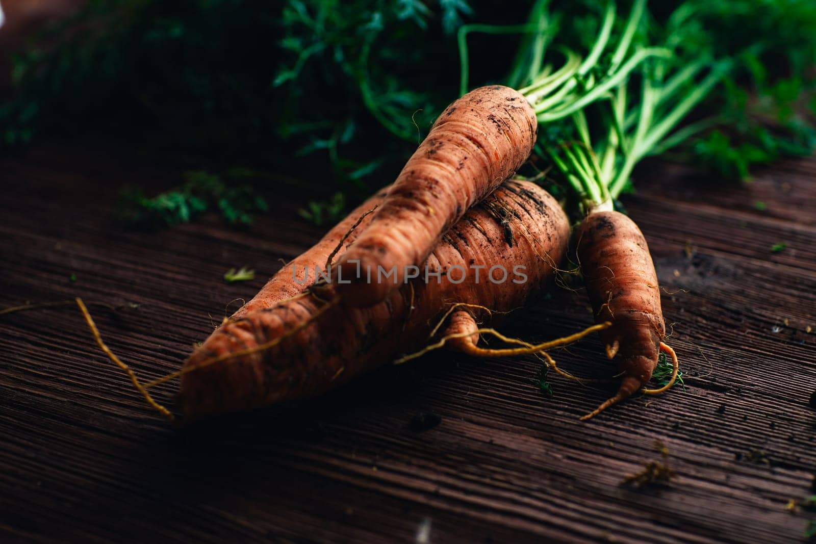 Fresh carrots from the garden close-up on a wooden background.