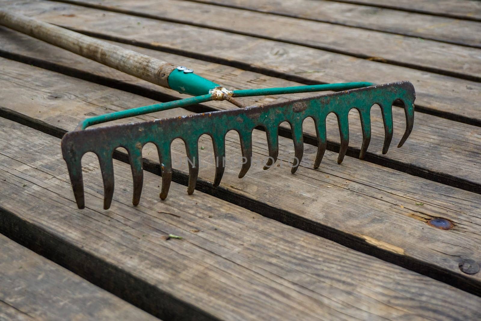 Old rake on the background of the wooden planks. Rake on the wooden plank floor.