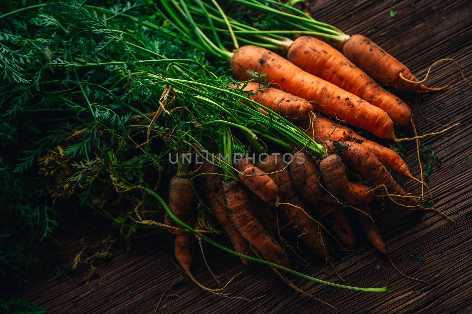 Fresh carrots from the garden close-up on a wooden background.