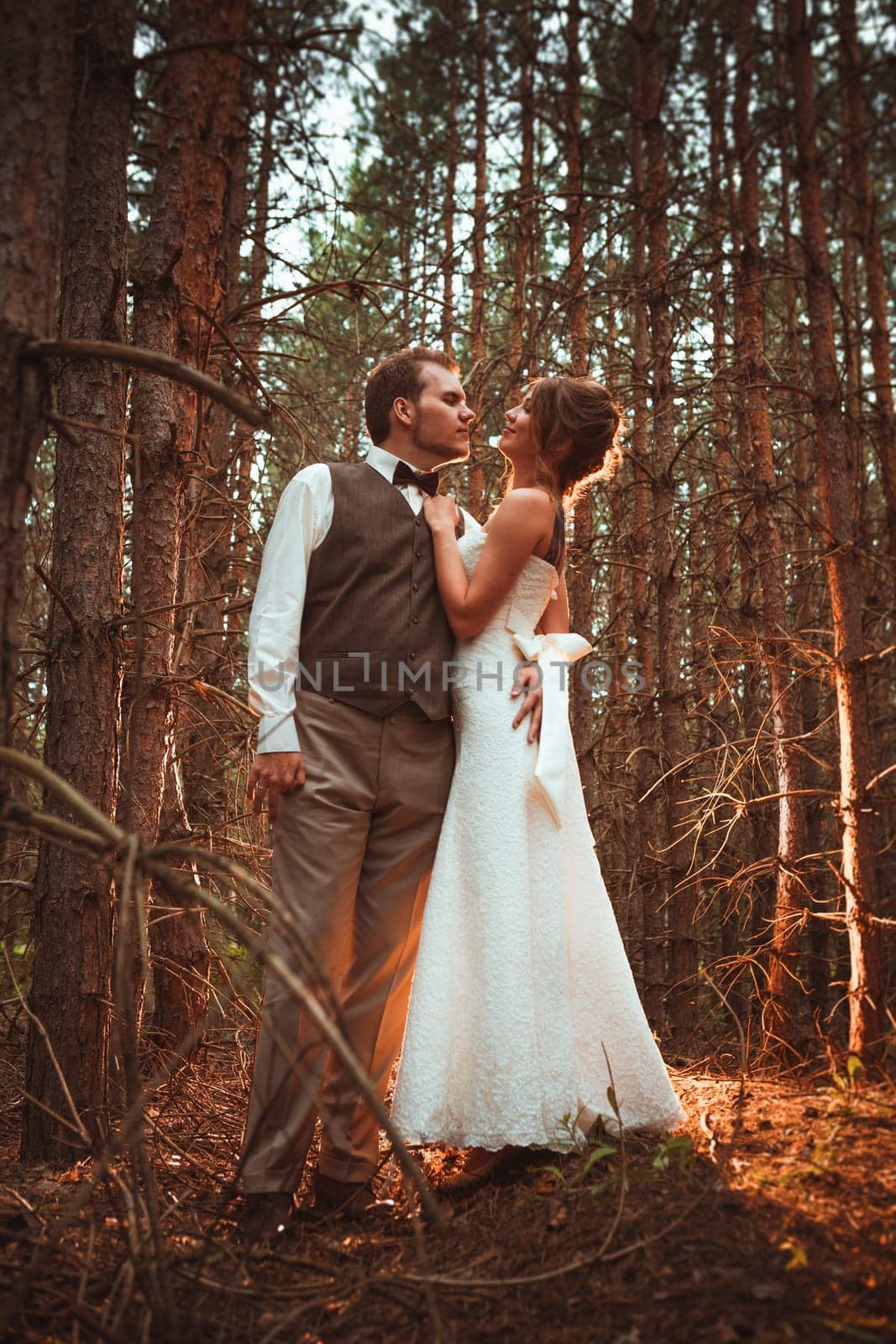bride and groom in the forest of firs.