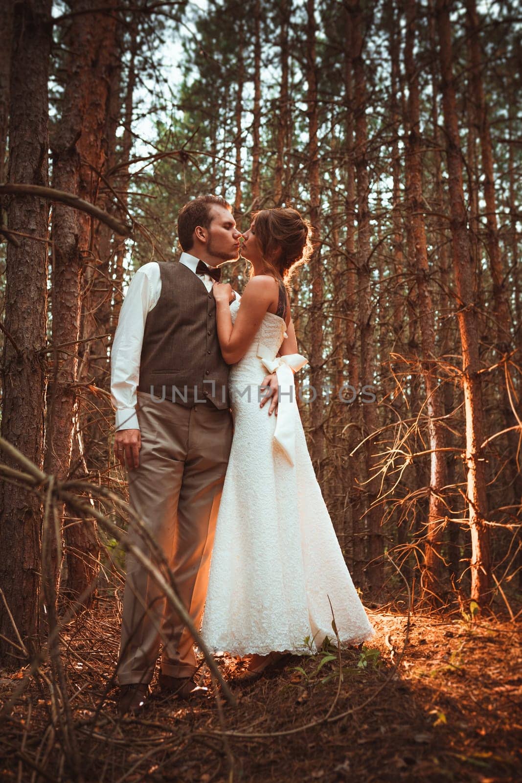 bride and groom in the forest of firs.