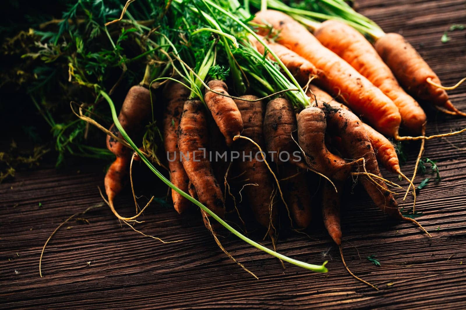 Fresh carrots from the garden close-up on a wooden background.
