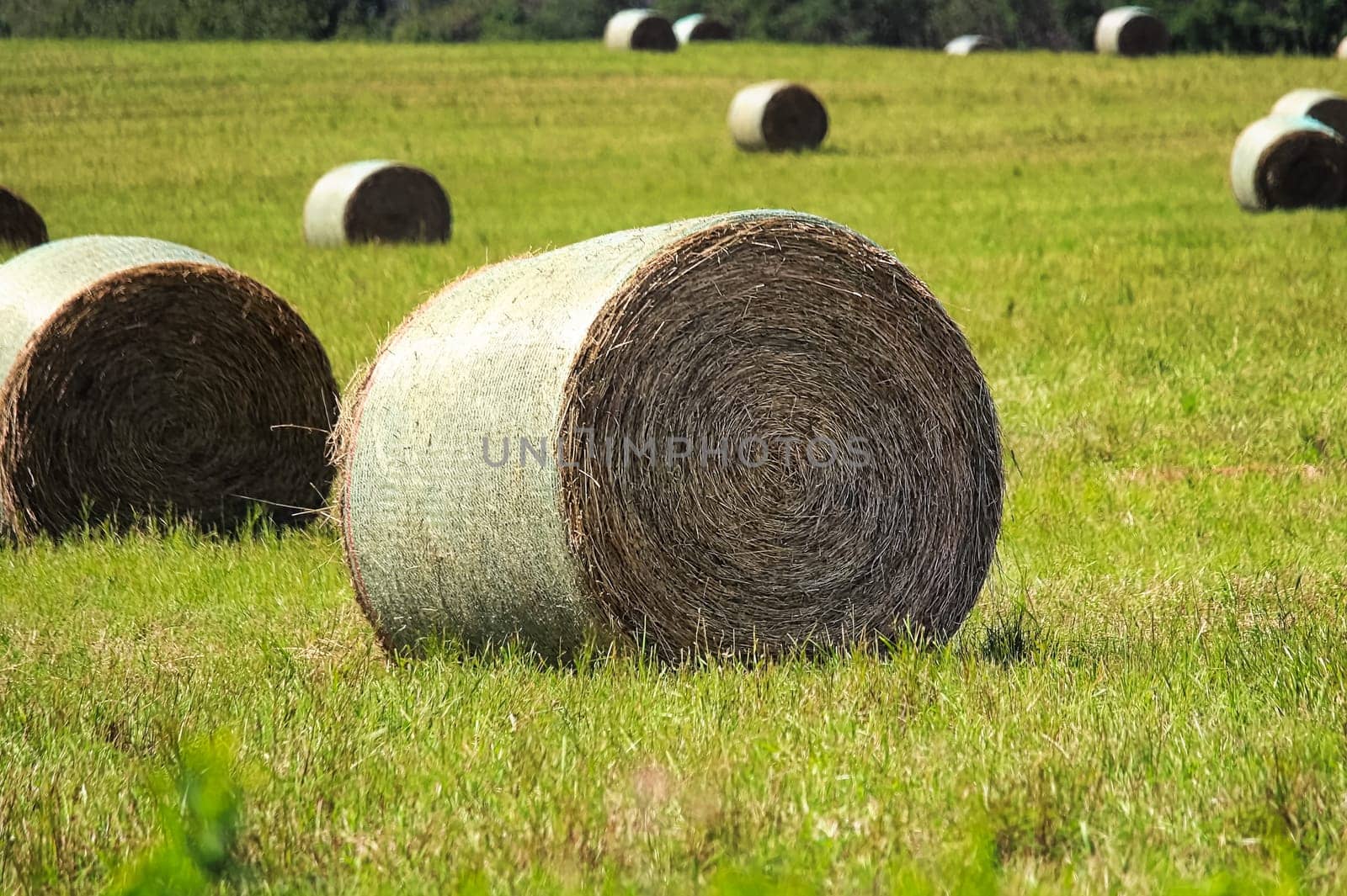 Hay bales sitting in a field during the summer.
