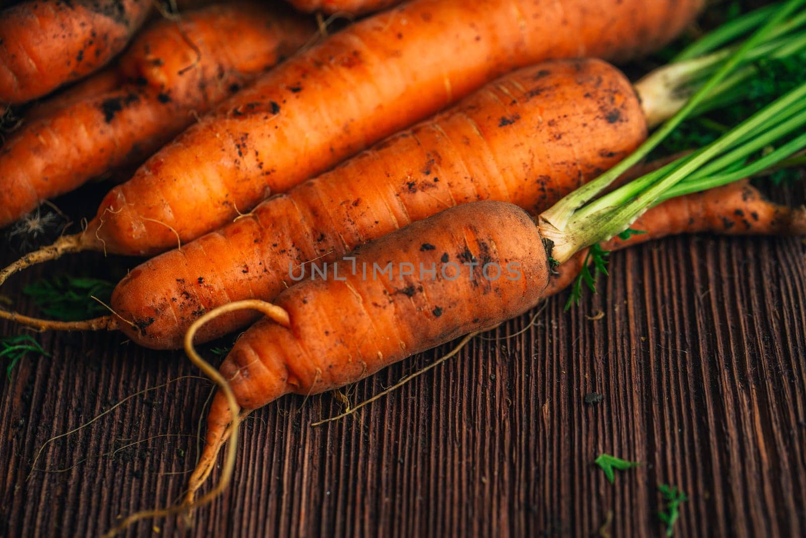 Fresh carrots close-up on a wooden background.