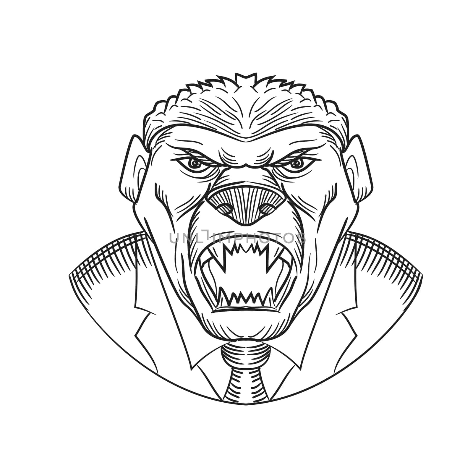 Drawing sketch style illustration head of an angry and aggressive honey badger wearing a coat and tie or business suit viewed from front on isolated white background in black and white.