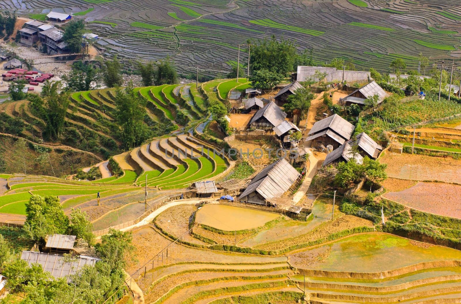 Rice terraced fields in Ta Van village - hill tribe in Sapa, Vietnam