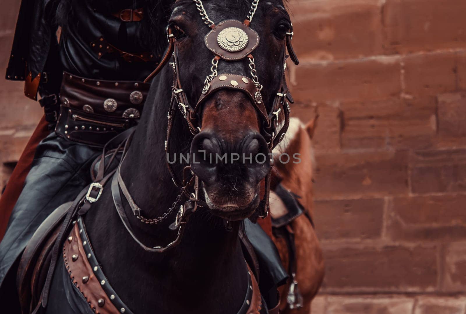 Horse medieval dress in show, animals and war
