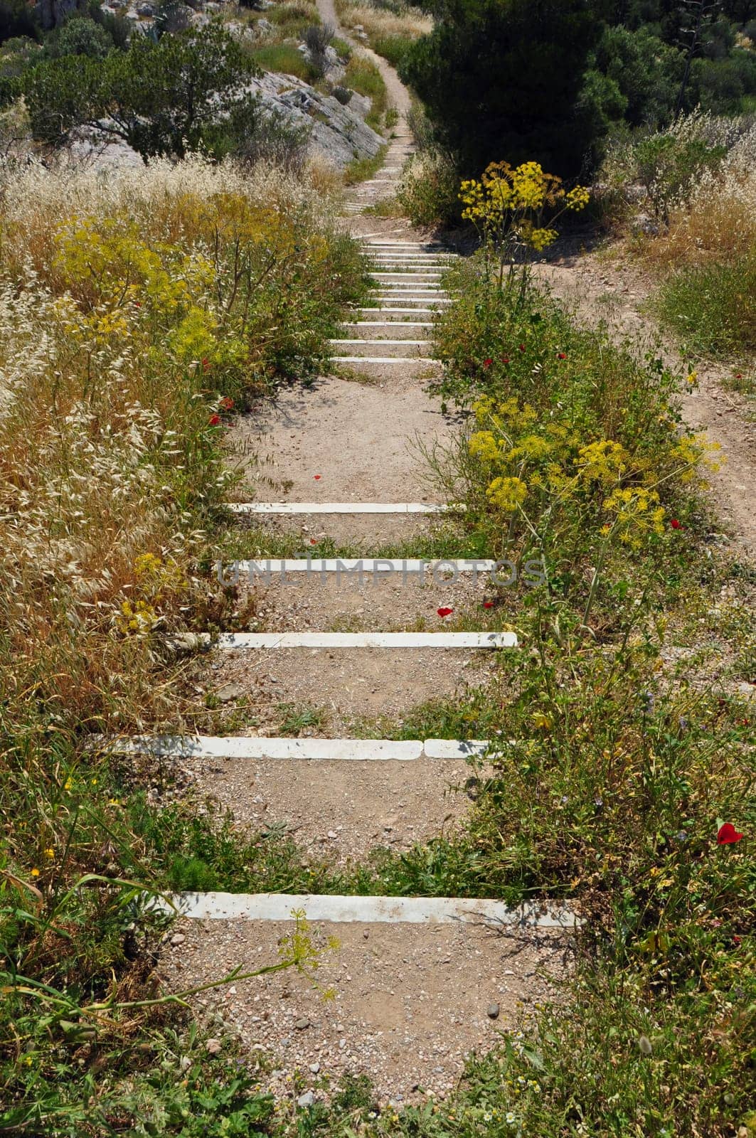 Trail footpath with crooked steps on hill slope.