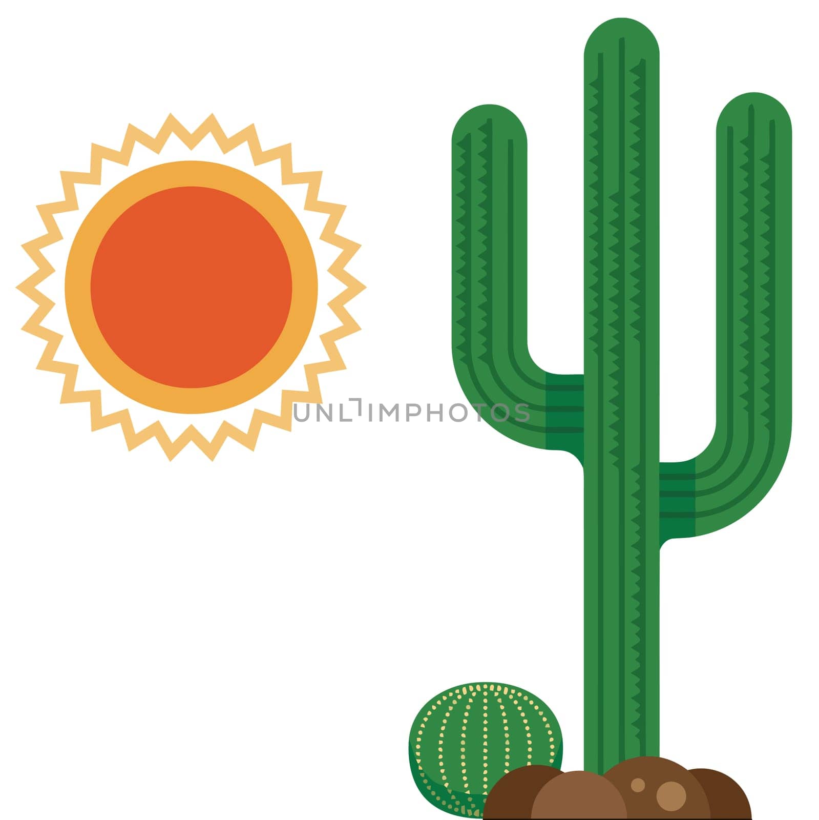 cactus desert hot dry nature wild sun illustration