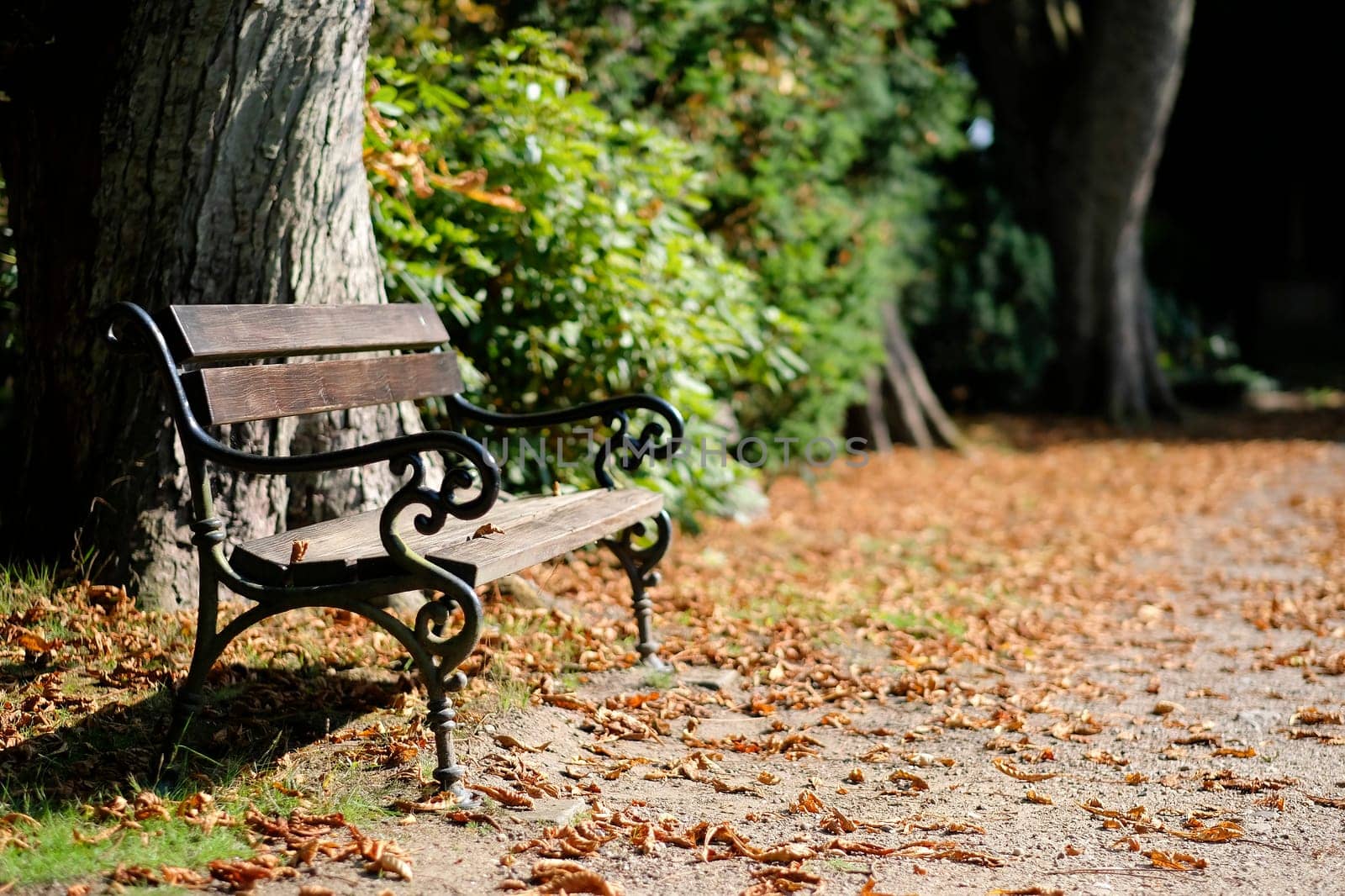 Bench in a cemetery park in autumn - on the right a stone cross in the background