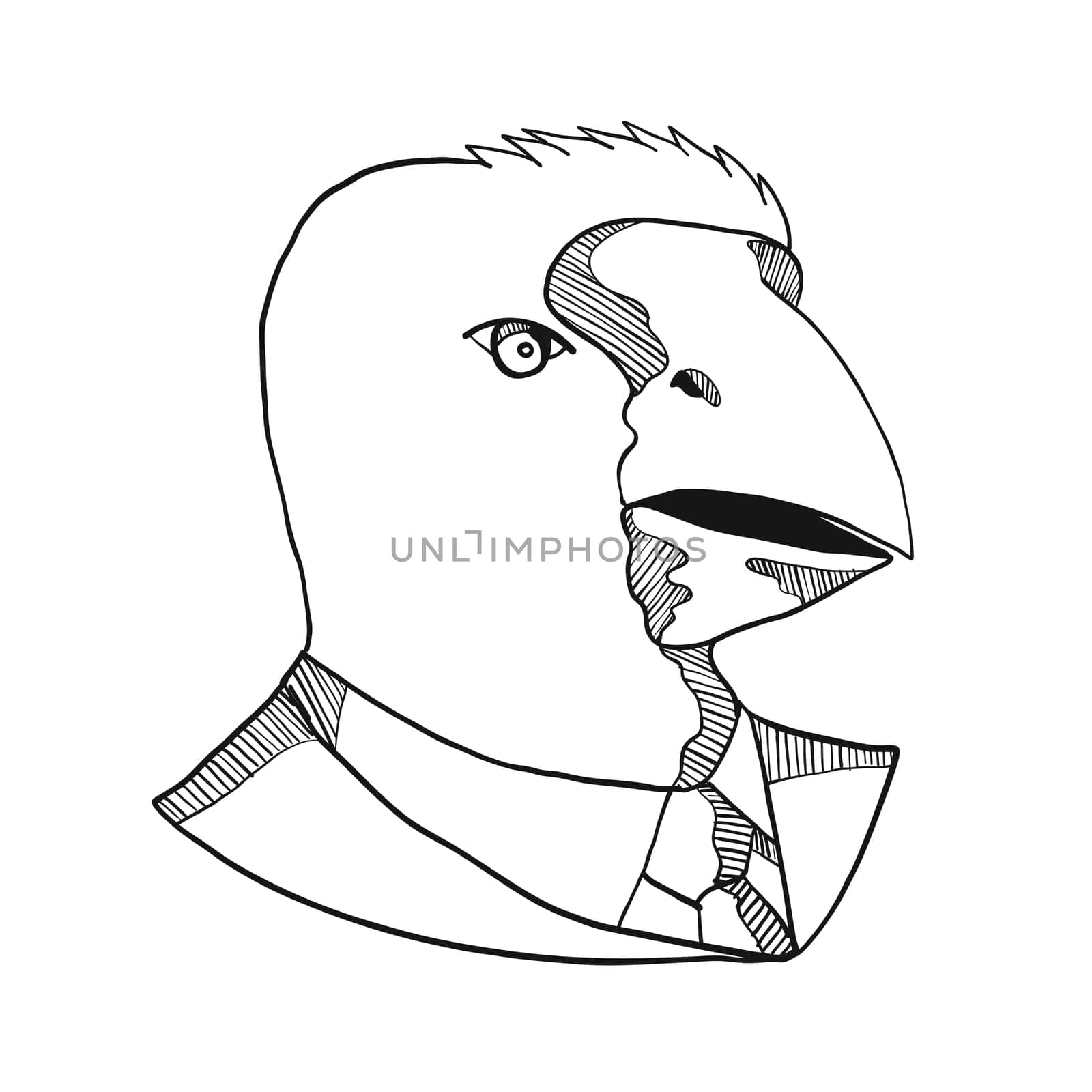 Drawing sketch style illustration of head of a takahe, the South Island takahe or notornis, a flightless bird indigenous to New Zealand, wearing a business suit coat and tie in black and white.