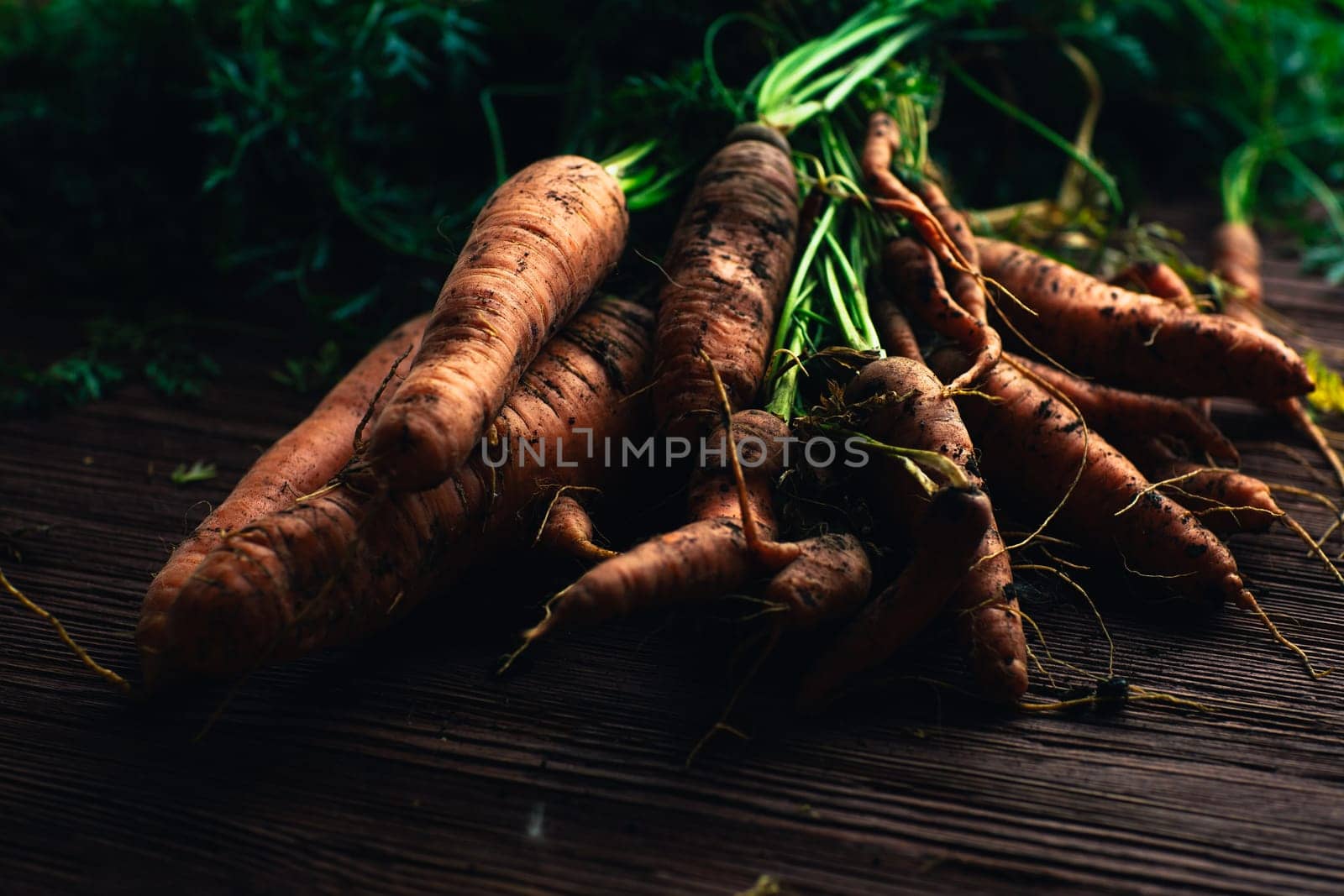 Fresh carrots from the garden close-up on a wooden background.