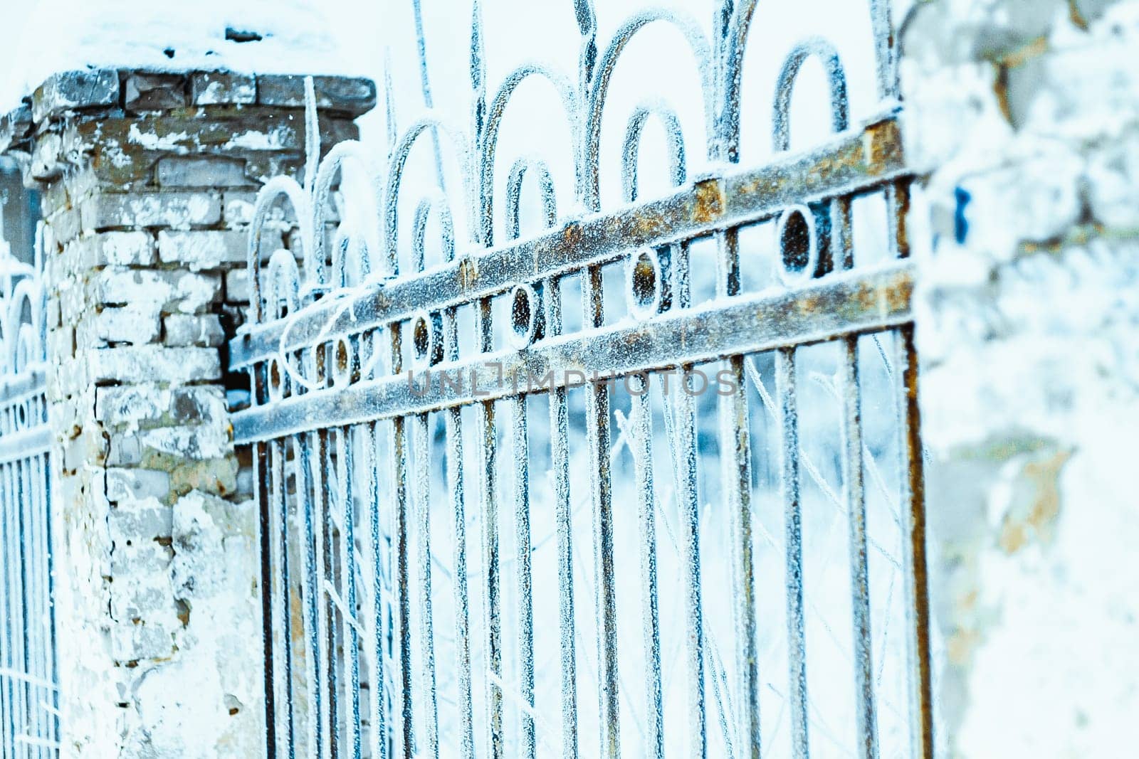 metal fence in hoarfrost on a blurred background.