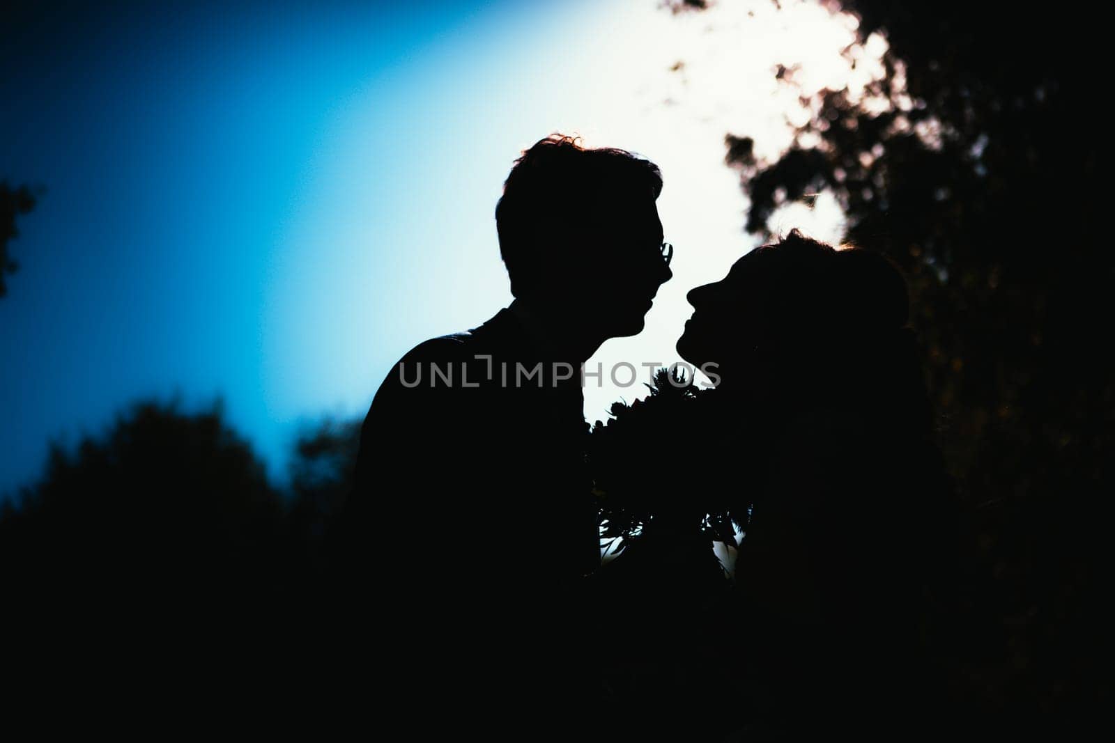 bride and groom silhouettes on the background of the sky park.