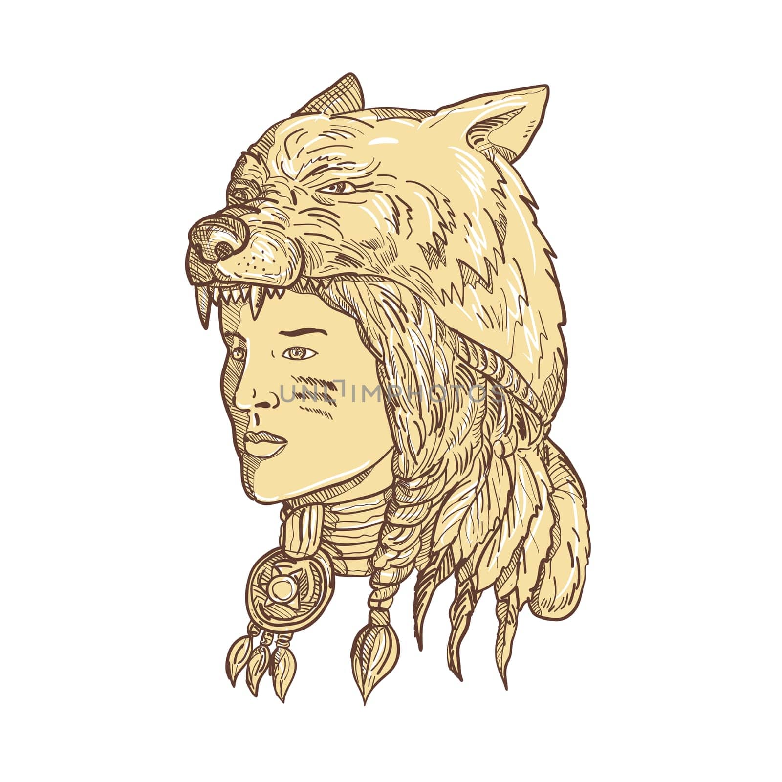 Drawing sketch style illustration of a native American woman wearing a wolf headdress, headgear or headwear viewed from side in sepia and on isolated white background.