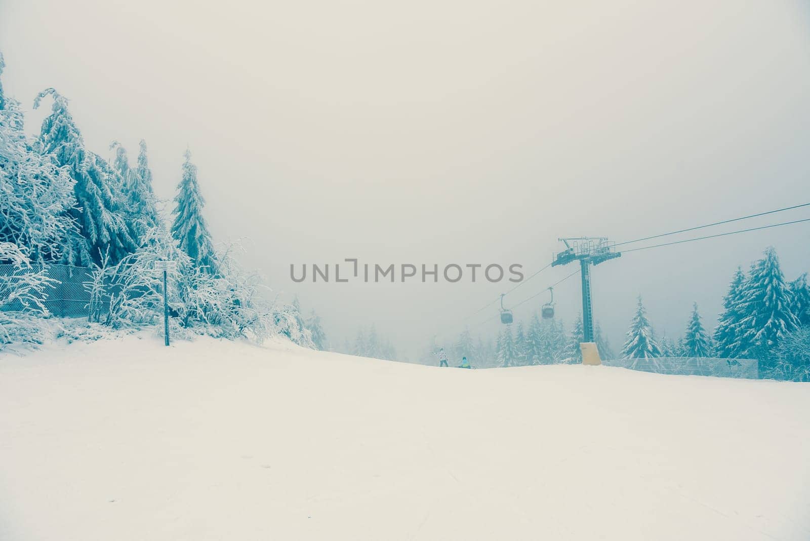 a snowy forest in winter with lots of snow.