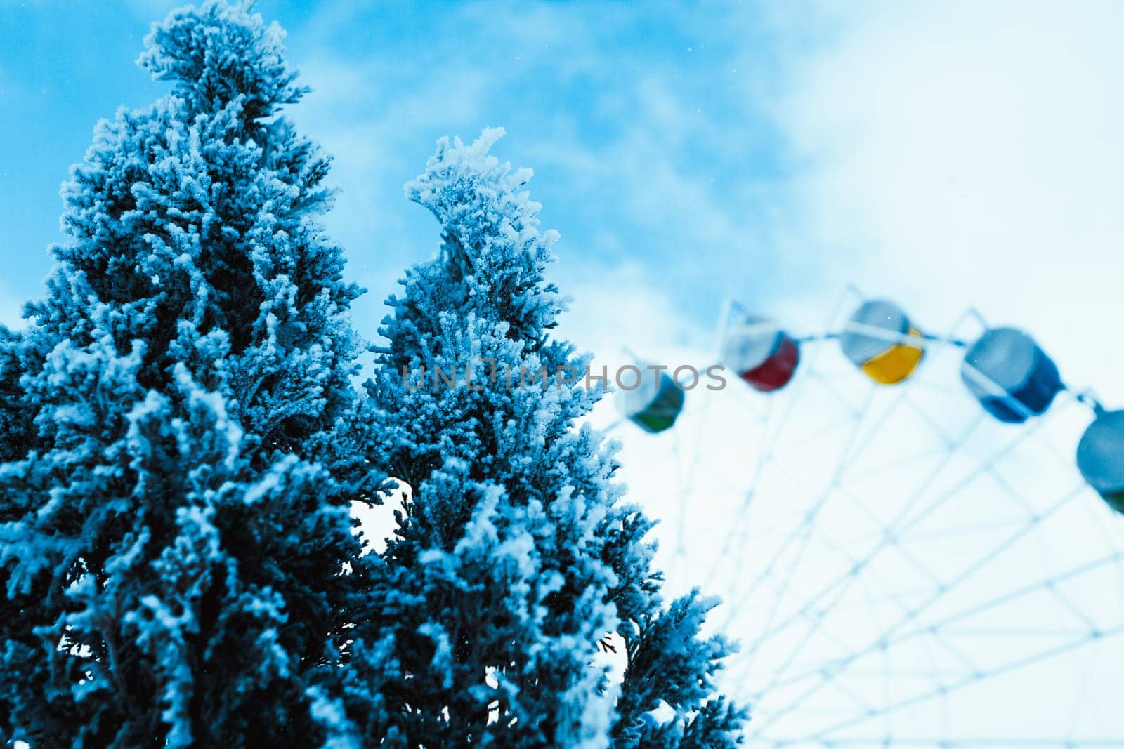 white winter forest on blue sky and Ferris wheel background