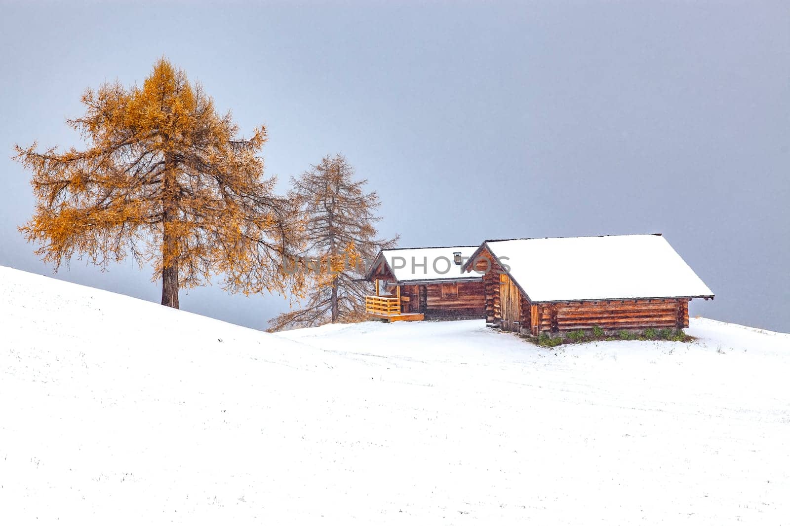 snowy early winter landscape in Alpe di Siusi.  Dolomites,  Italy - winter holidays destination