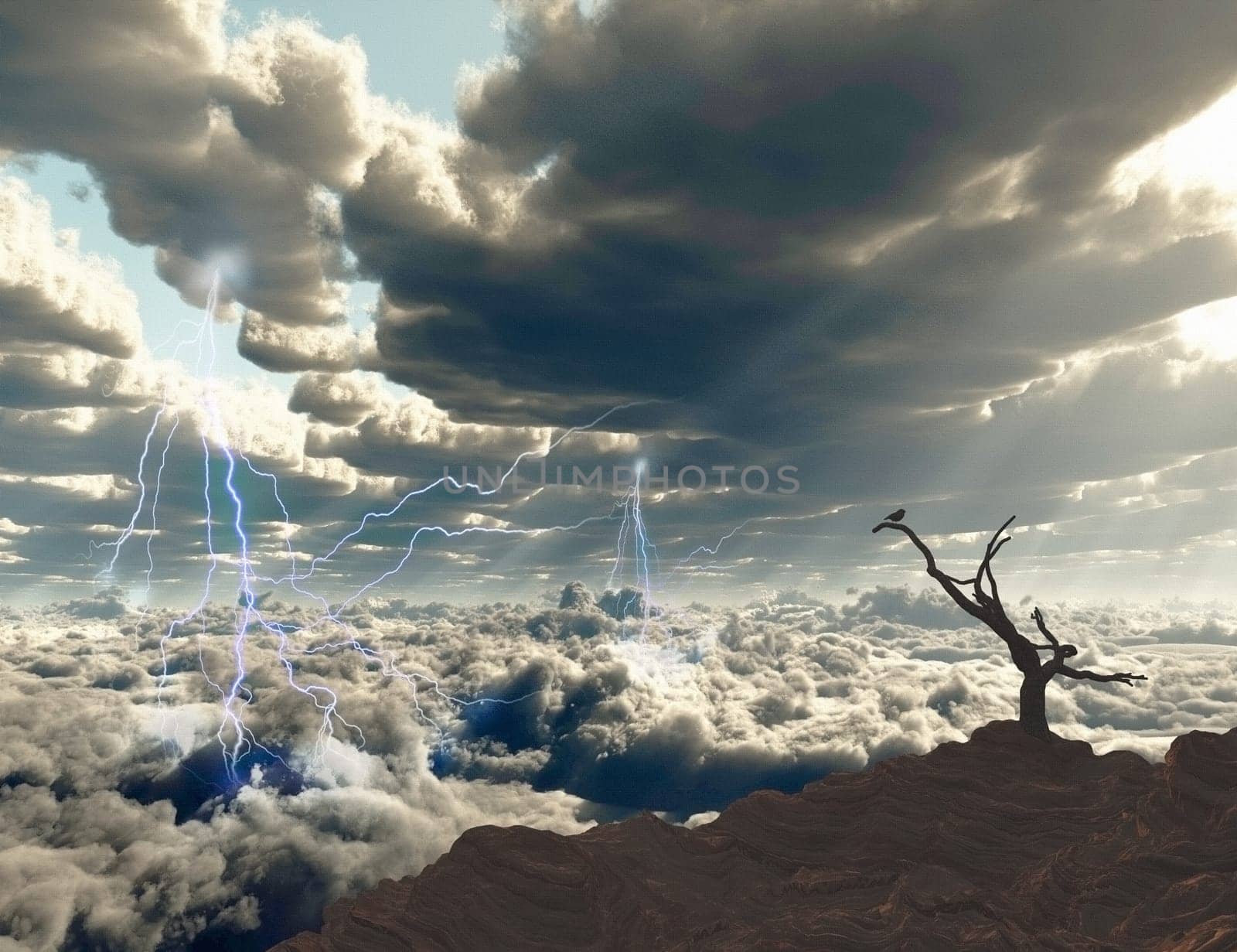 Lightning on a sunrise. Bird on a dry branch.