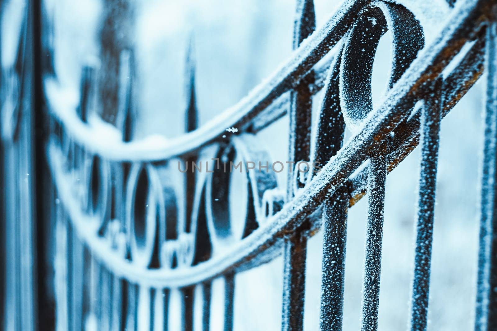 metal fence in hoarfrost on a blurred background.