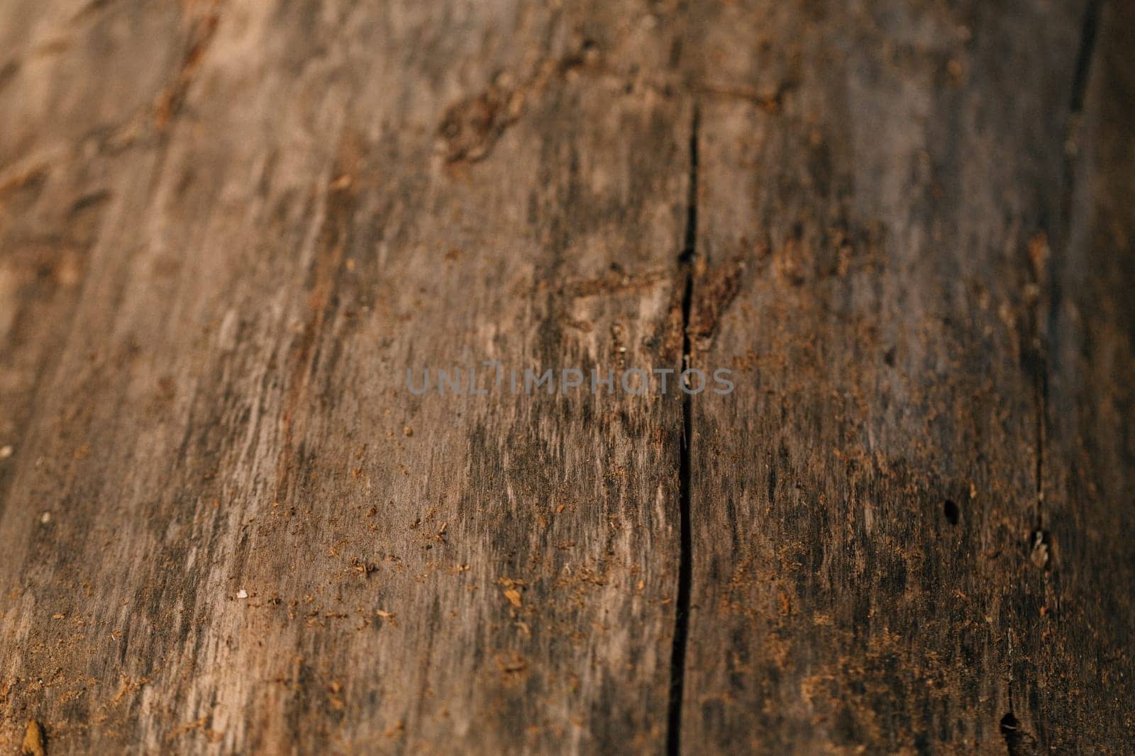 colored dark wood fiber texture close up