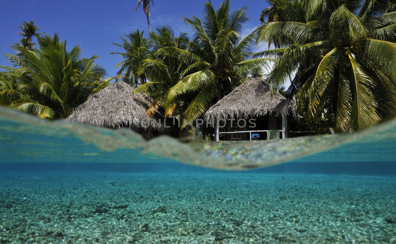 Bungalows in Fakarava - South Seas