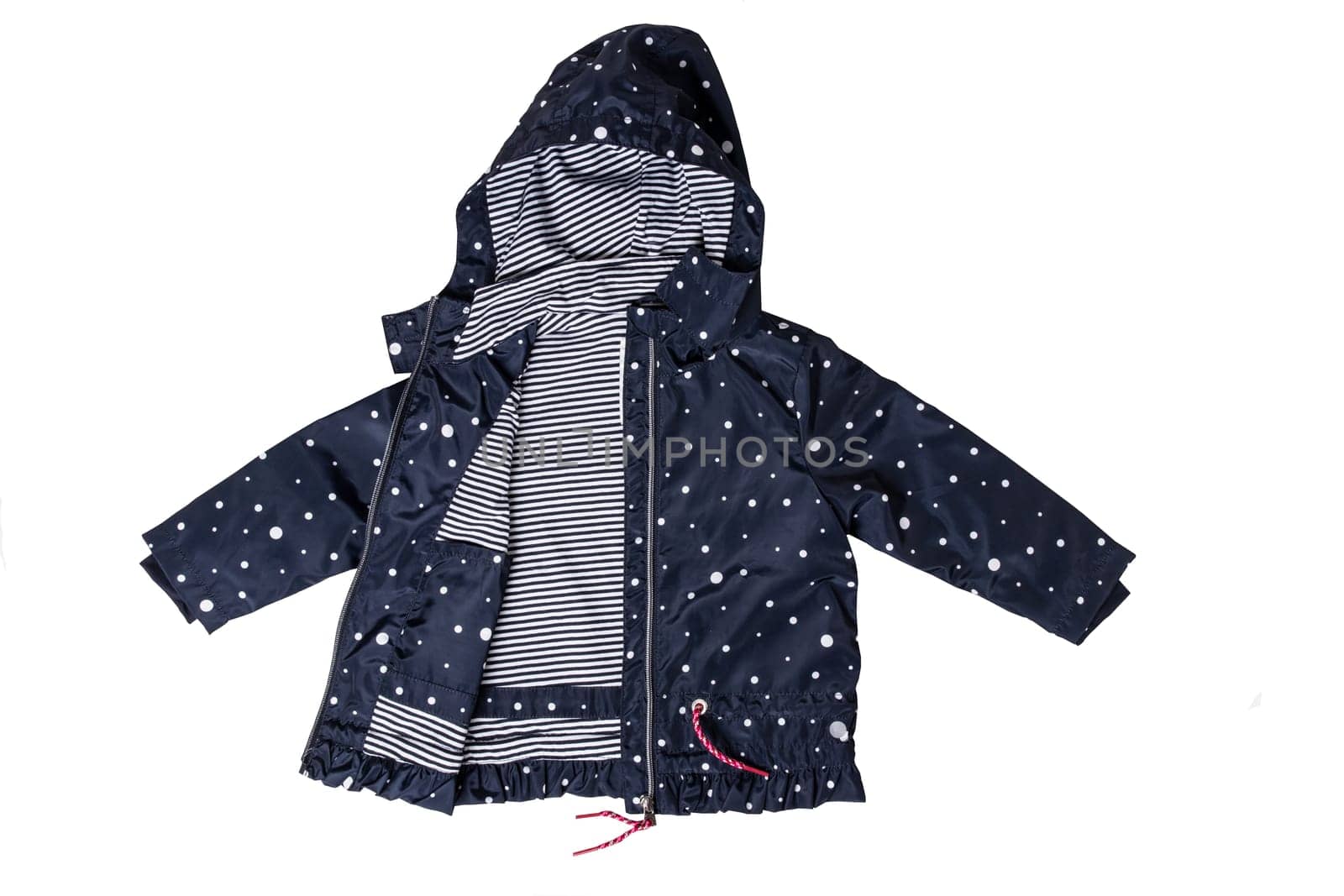 Kids jacket isolated. A stylish fashionable dark blue jacket with white dots and blue white striped lining for the little girl. A rain coat and windbreaker with hood for spring and autumn.