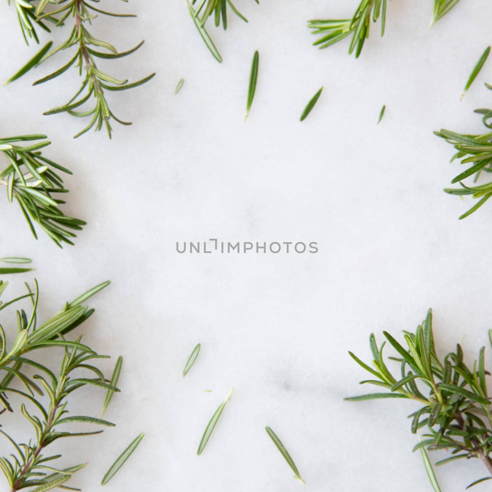 Rosemary sprigs on marble surface with copy space
