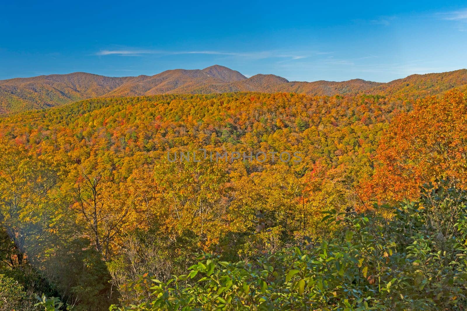 Fall Panorama on the Blue Ridge Parkway near Asheville, North Carolina
