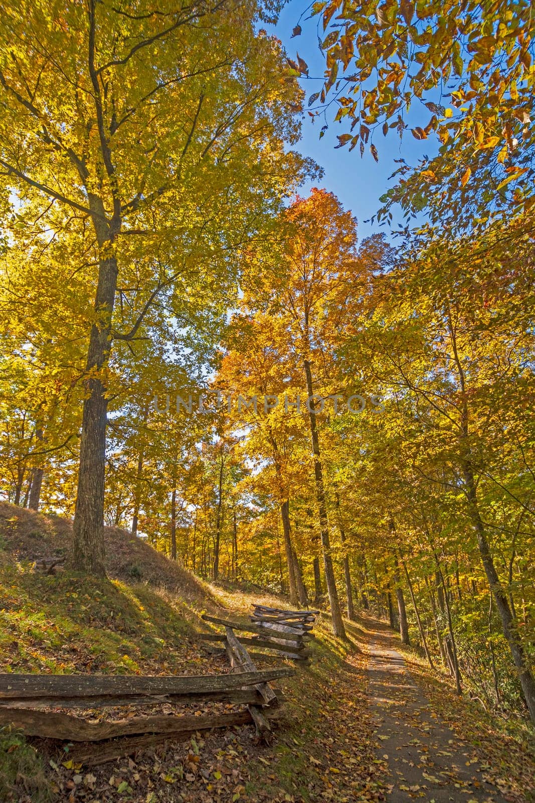 Quiet Mountain Trail in the Fall in Cumberland Gap National Park in Kentucky