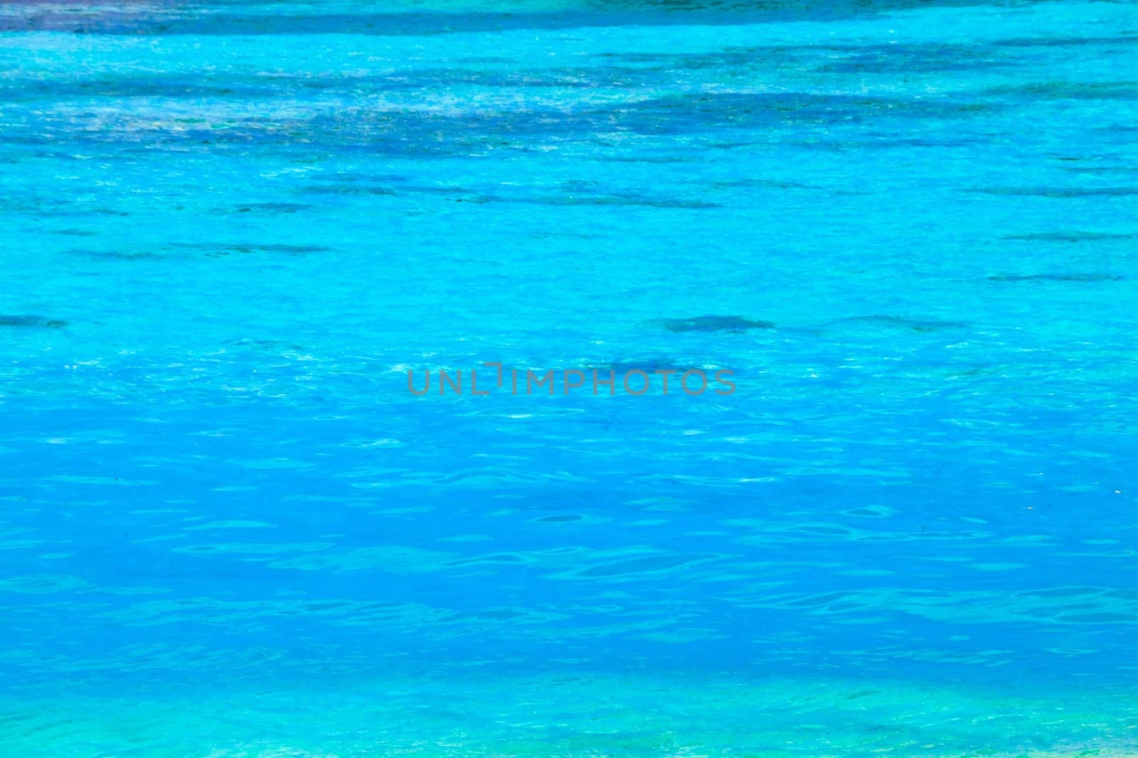 Blue sea background