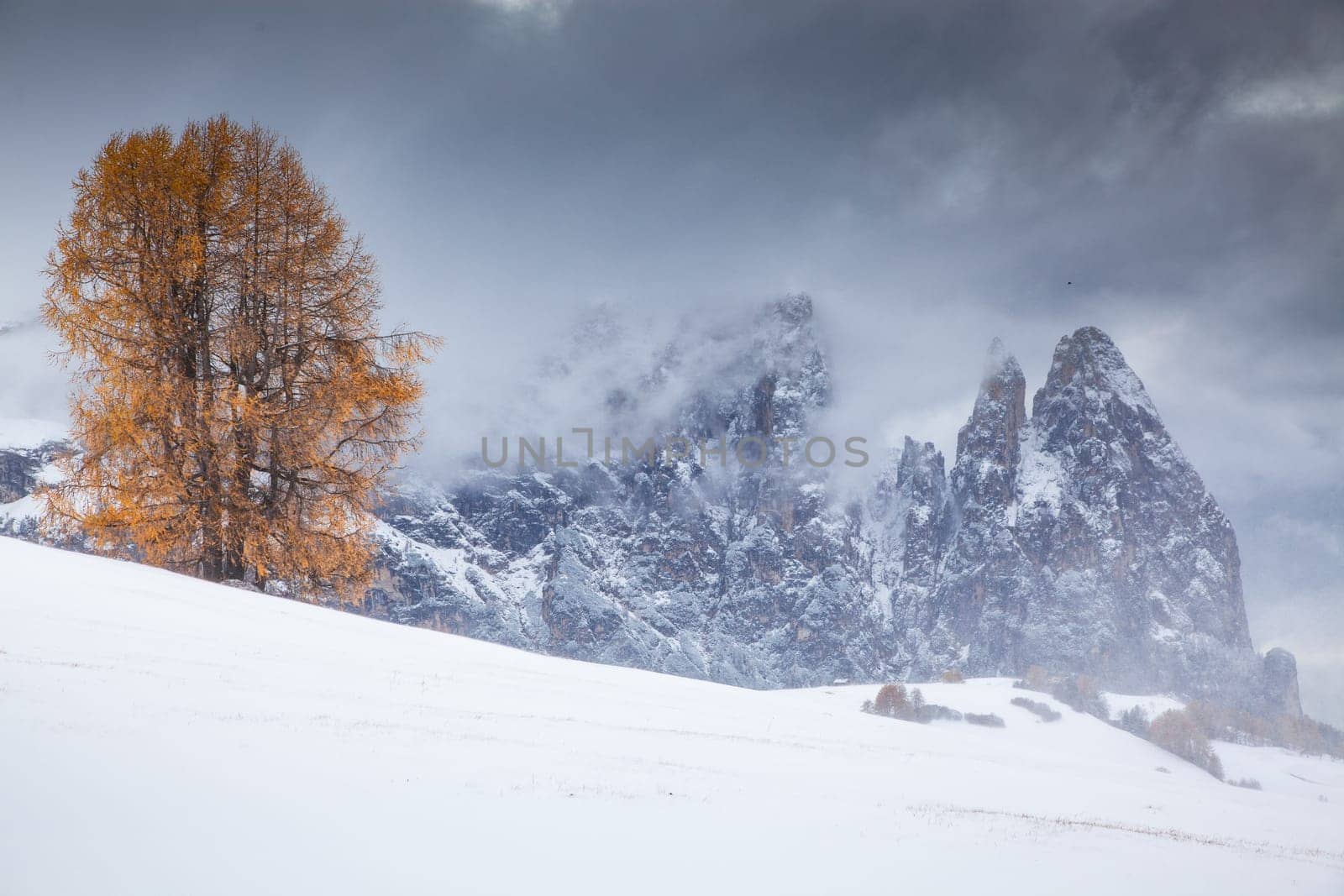 snowy early winter landscape in Alpe di Siusi.  Dolomites,  Italy - winter holidays destination