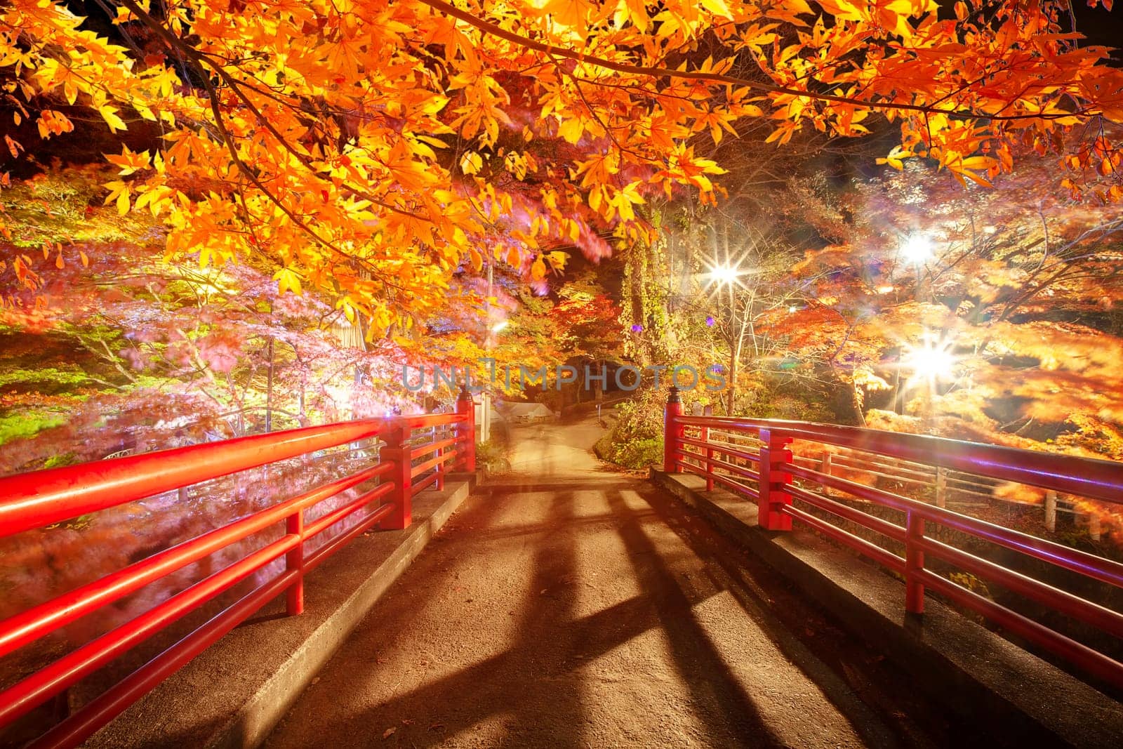 The Oirase Gorge beautiful river druing the autumn season, Japan