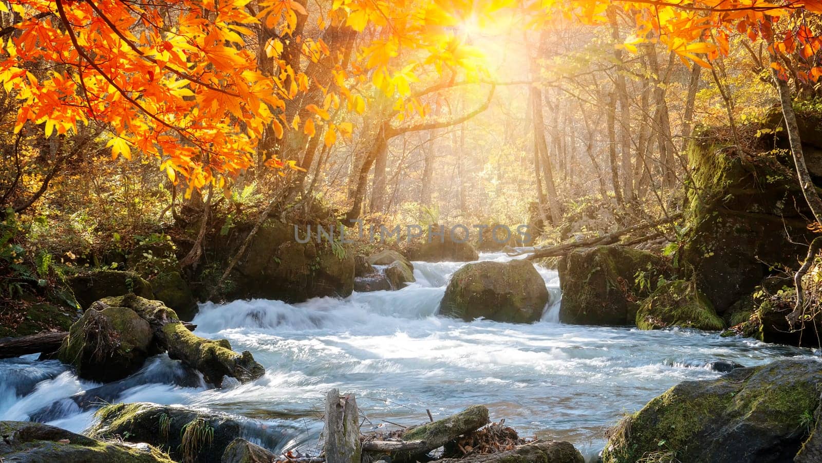 The Oirase Gorge beautiful river druing the autumn season, Japan