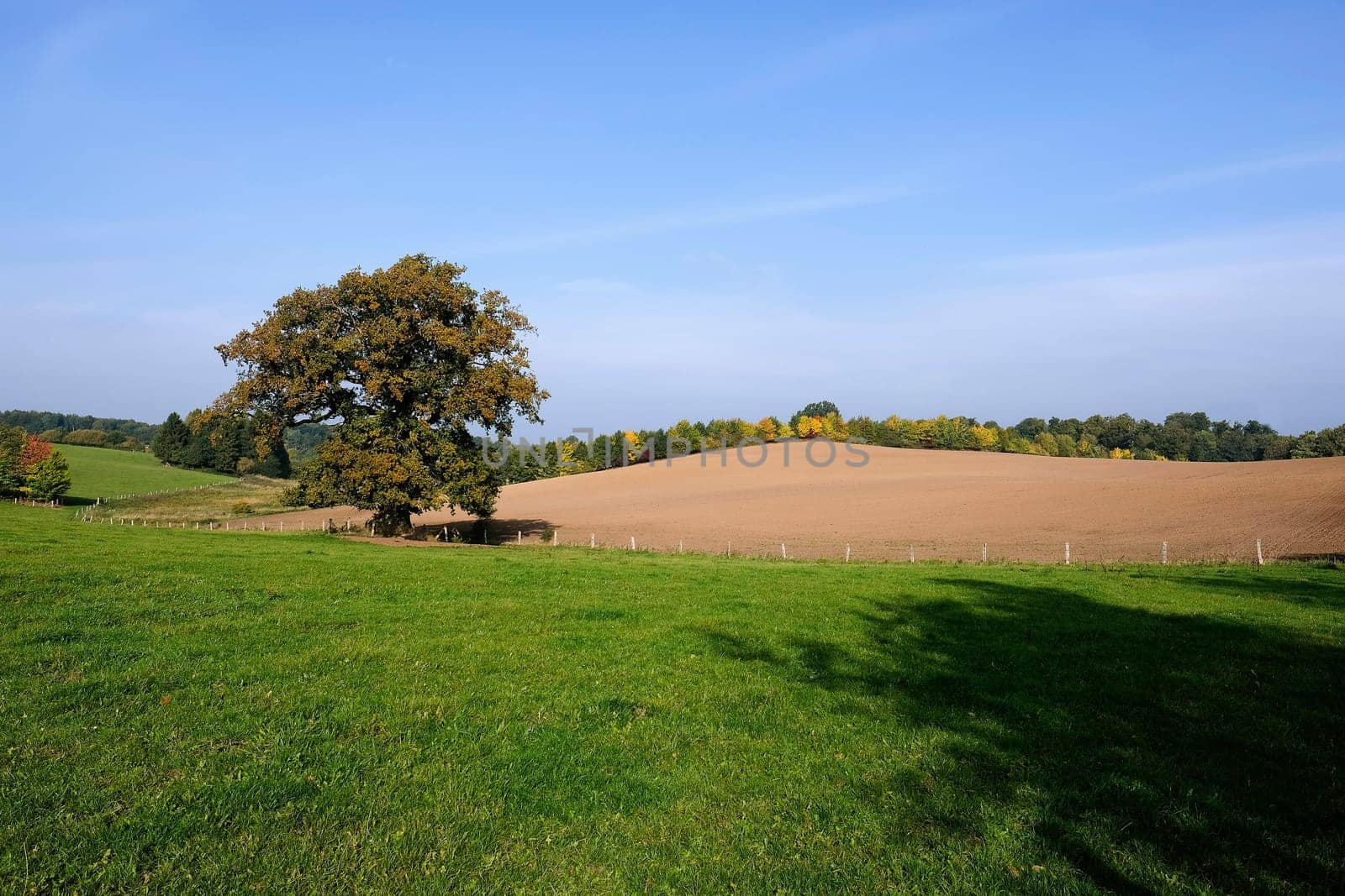 Ecological agriculture in autumn - natural landscape in Schleswig-Holstein - Germany