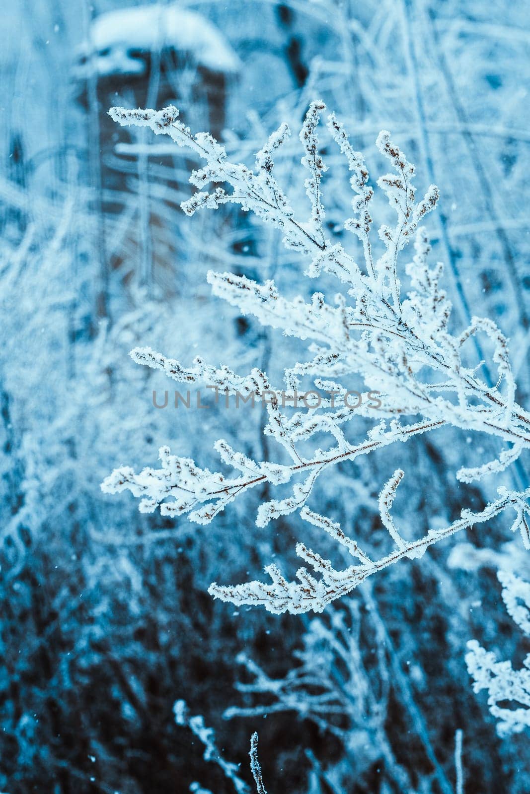 branches in the snow during the day.