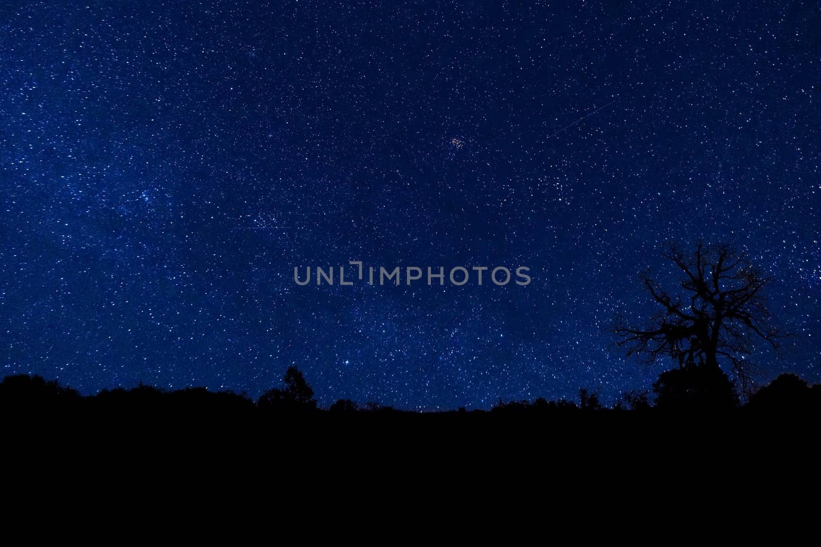 Blue clear night with stars