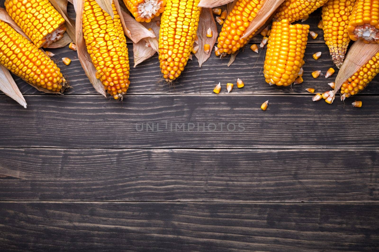 Corn cobs on wooden table. Copy space. Top view