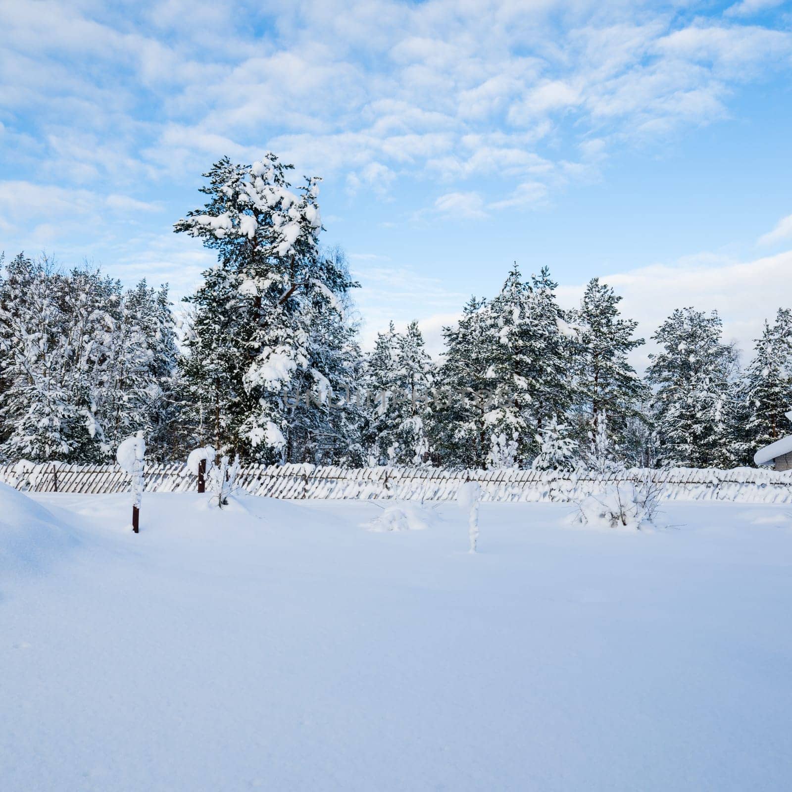 Snow-covered landscape in the countryside. Viitna, Estonia