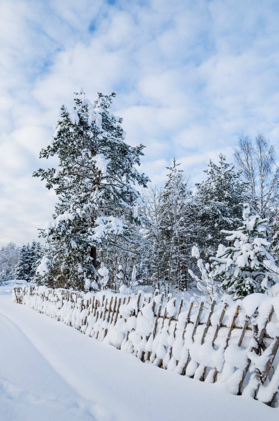 Snow-covered landscape in the countryside. Viitna, Estonia