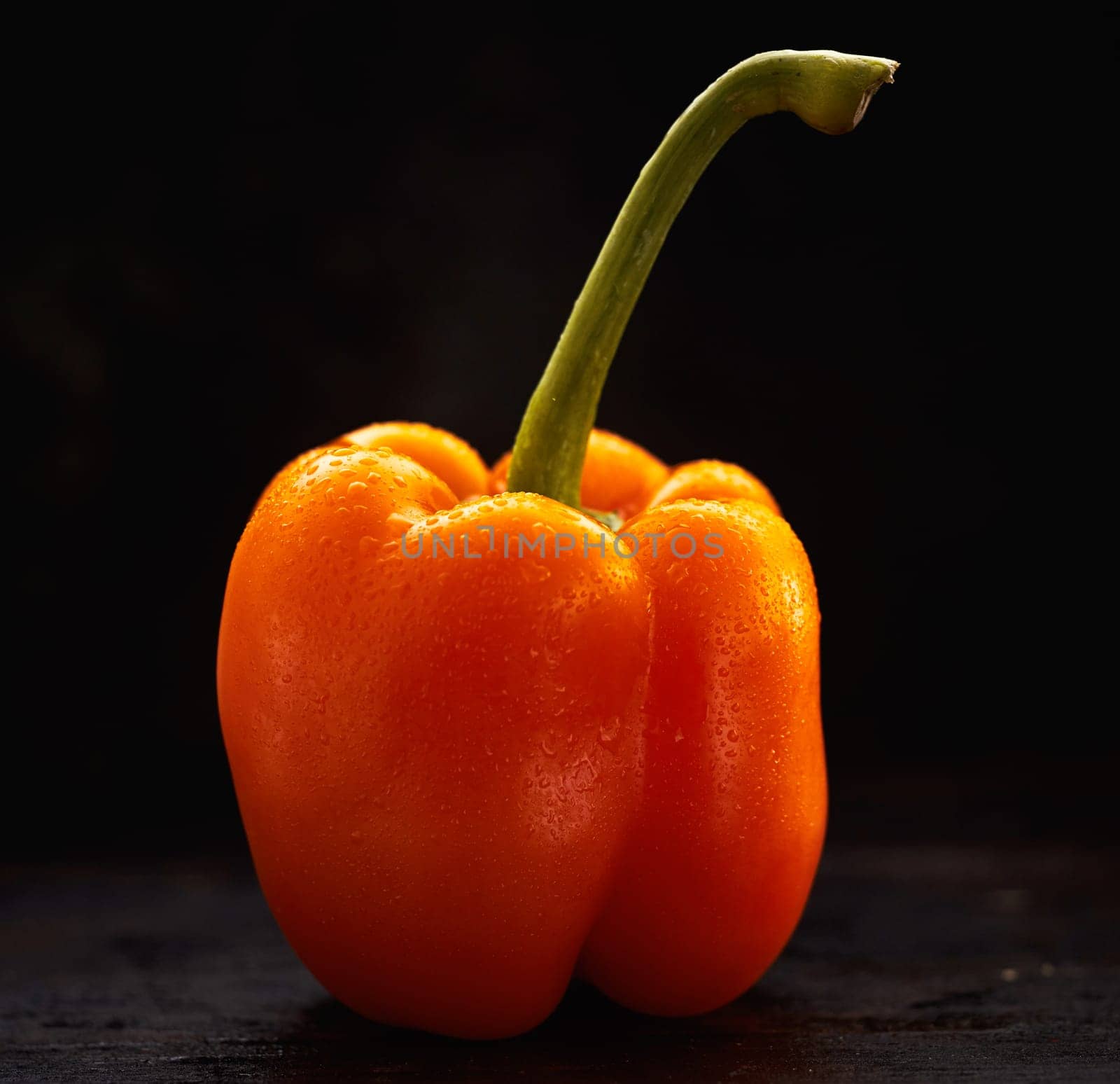 Single wet washed fresh orange sweet pepper with long green stalk viewed side on over a dark background in square format