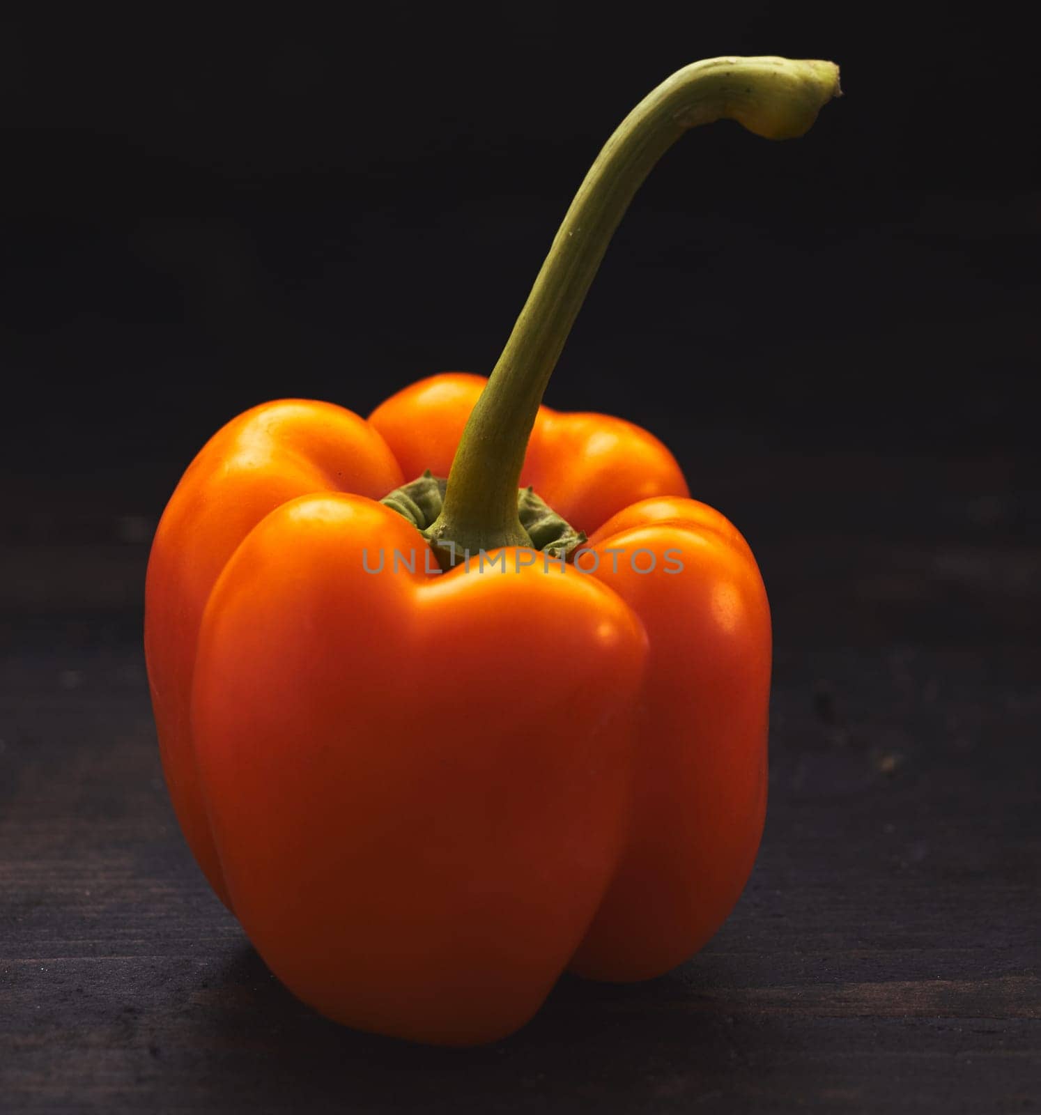 Single raw fresh organic orange sweet pepper or capsicum with long green stalk in a healthy diet and nutrition concept over a dark background