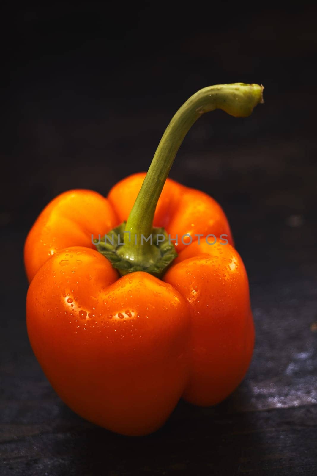 Healthy fresh raw orange sweet pepper with stalk rich and water drops in dietary fiber and vitamin c viewed high angle over a dark background with copy space