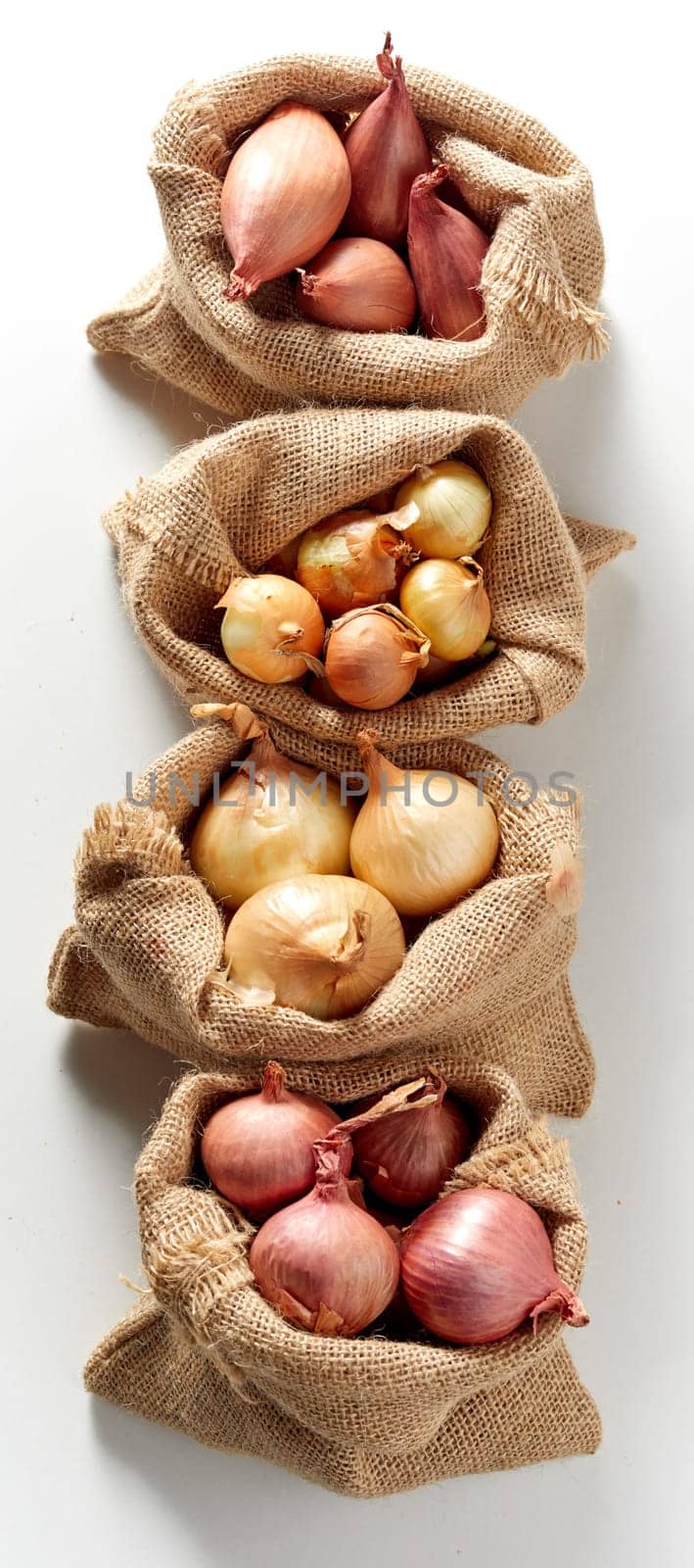 Vertically arranged row of burlap sack bags with different kind of fresh red and yellow onion, viewed from above on white background