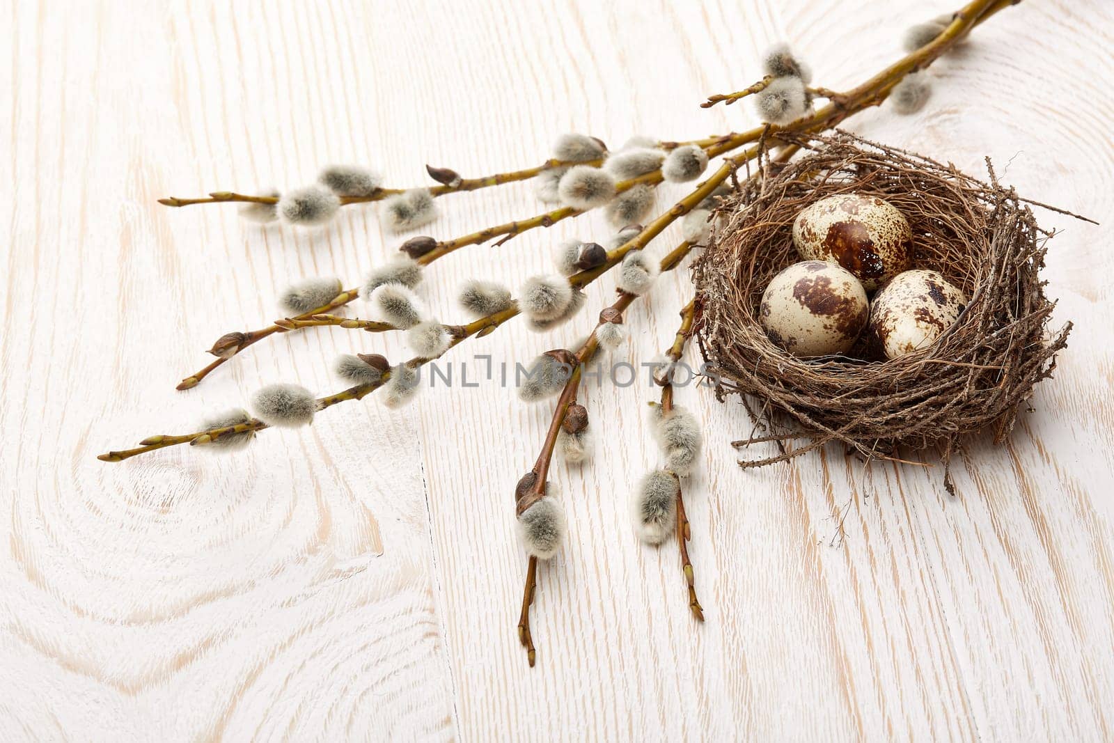 Easter decoration. Quail eggs in the nest and a branches of pussy-willow on a wooden background. Top view with copy space.