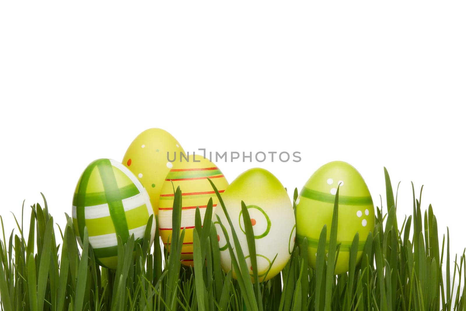 Colored easter eggs and spring green grass on a white background. Greeting card.