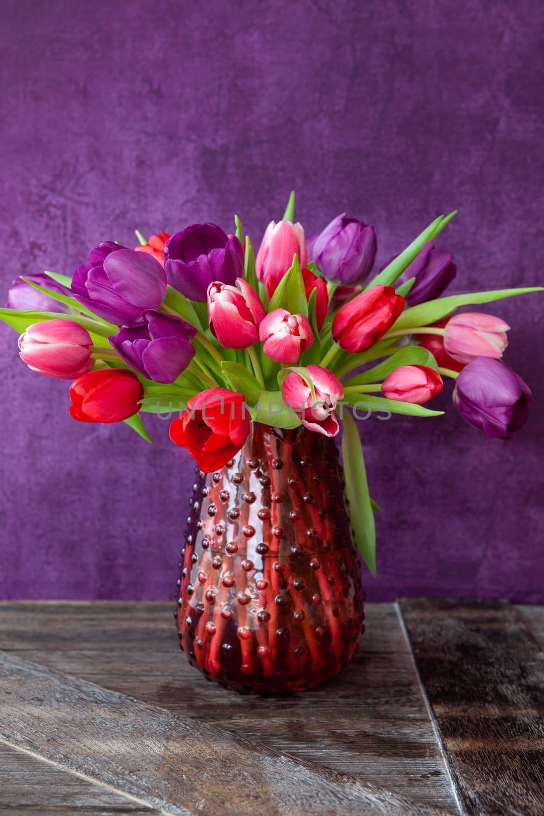 Colorful tulips in spring in front of purple background