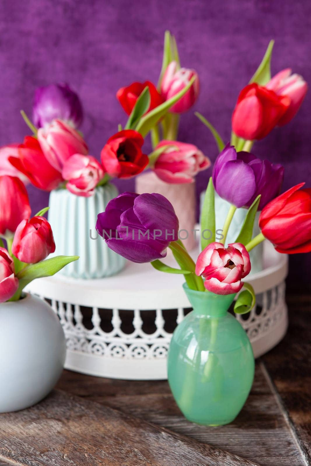 Colorful tulips in spring in front of purple background