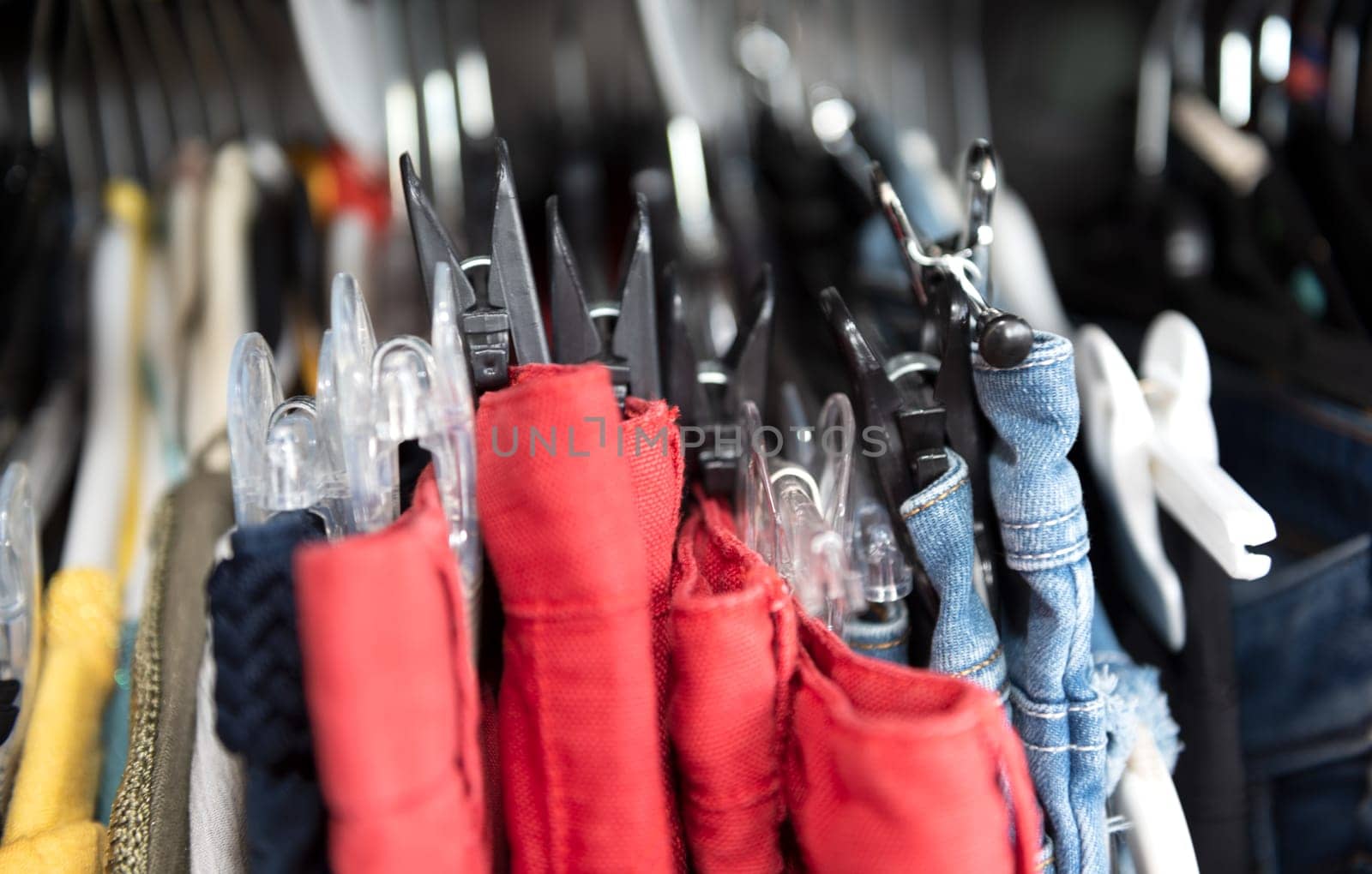 Women clothing - fall winter collection - Image